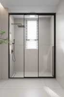 Душевая дверь раздвижная 1000x2000 цвет профиля Чёрный матовый стекло прозрачное PR3/L-100-01-B-C4 Premium Veconi